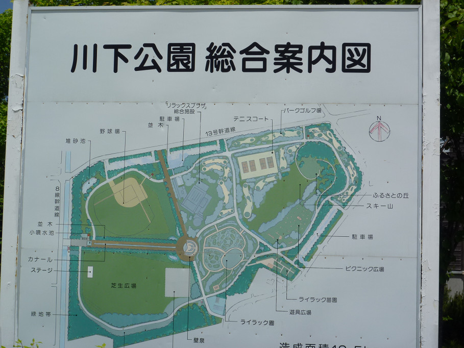 川下公園のライラック のんきトラさん 何処いくの 川下公園のライラック のんきトラさん 何処いくの