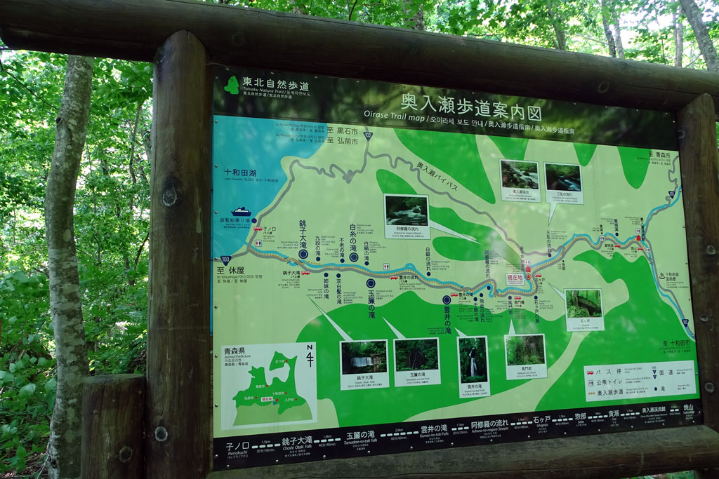 白神山地と奥入瀬渓流ハイキング 2泊3日の旅 3日目 最終日 のんきトラさん 何処いくの 白神山地と奥入瀬渓流ハイキング 2泊3日の旅 3日目 最終日 のんきトラさん 何処いくの