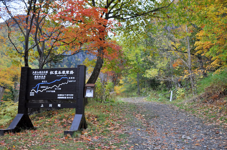 久し振りの北海道歩き 層雲峡 紅葉谷 のんきトラさん 何処いくの