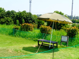 DSC01104