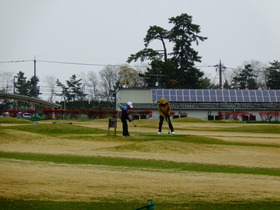 DSC00786