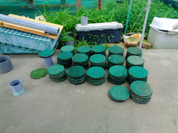 DSC01090