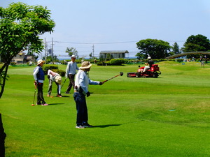 DSC01100