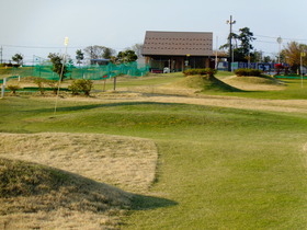 DSC00779