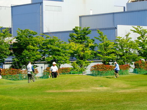 DSC00993