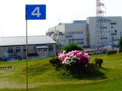 DSC00844