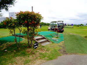 DSC00944