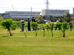 DSC00801