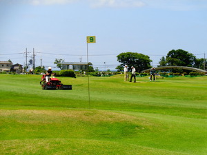 DSC01099