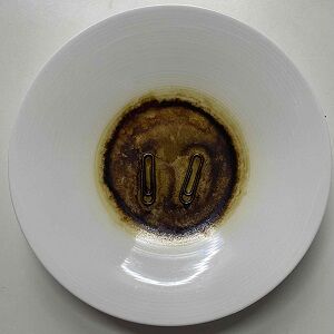 お茶48時間300