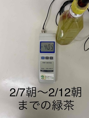 お茶6日