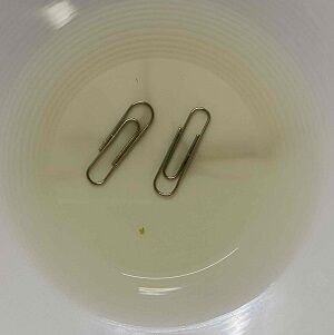 お茶3