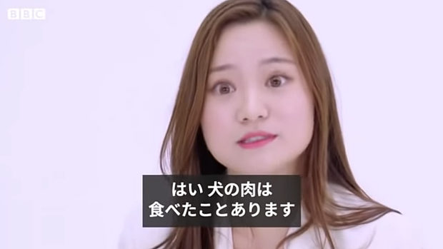 英BBCリポート「韓国で深まる分断、犬は食べ物?それともペット?」
