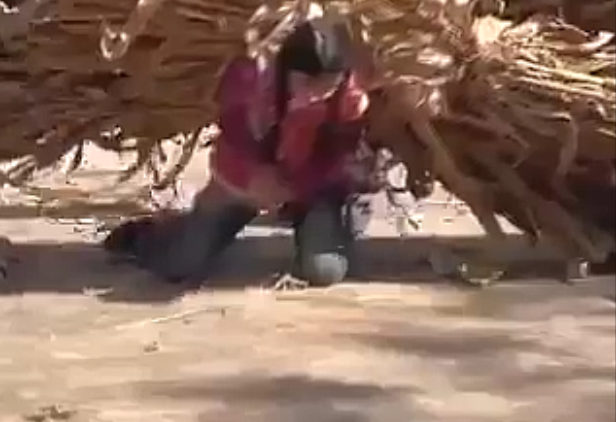 【動画】中国の真実、農村部の女子のお仕事の様子がこちらになります！