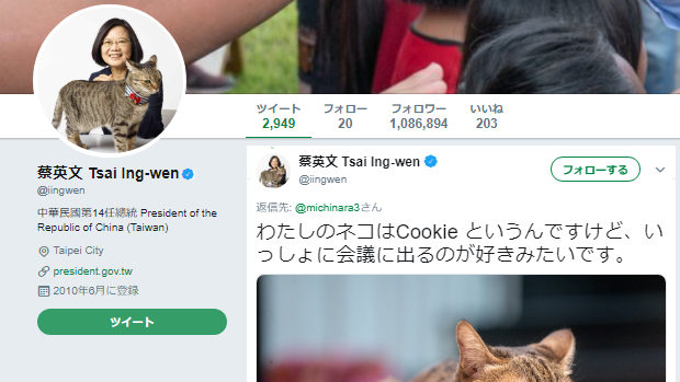 【台湾】猫好きの蔡英文総統、