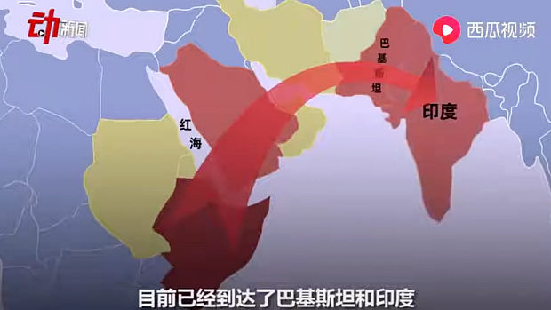動画 中国 まるで三国志 疫病の次はイナゴ 4000億匹が中国国境に迫る ヤバい 海外 トーイチャンネット 時事ネタ
