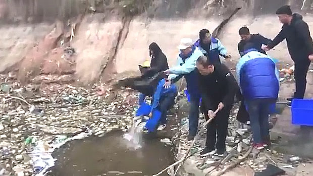 動画 中国 ゴミ溜め化した川へ魚の放流 我々は良いことをしている ドヤっ 動画 中国 ゴミ溜め化した川へ魚の放流 我々は良いことをしている ドヤっ