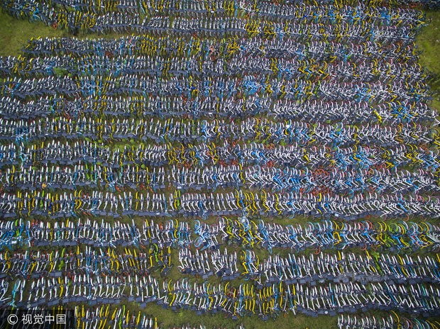 画像の名前