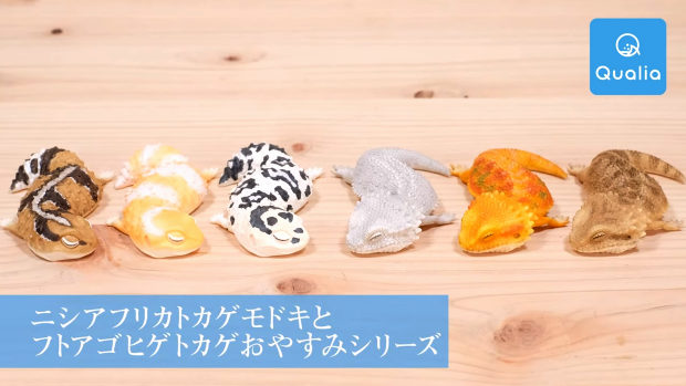 おやすみ中の「ニシアフリカトカゲモドキ と フトアゴヒゲトカゲ」がガチャフィギュアになった! - BeDb6b93