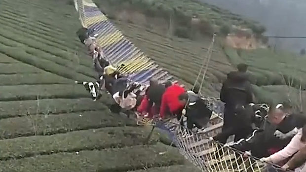 中国、茶畑に架けられた吊り橋を観光客が揺らして橋が横転、多くの人が落下！
