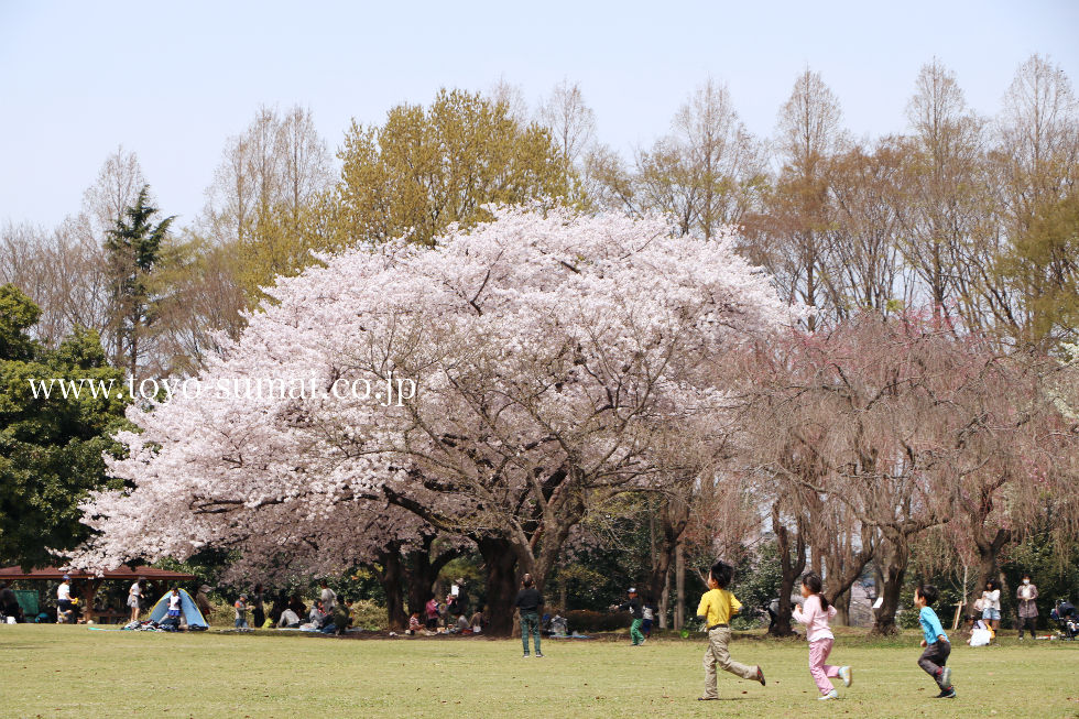 市民の森 見沼グリーンセンターと見晴らし公園 さいたま市北区 新発見 さいたま の風景写真ブログ