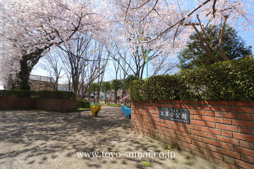 さいたま市中央区 上落合公園の桜が見頃をむかえました。 「新発見！さいたま の風景写真ブログ」