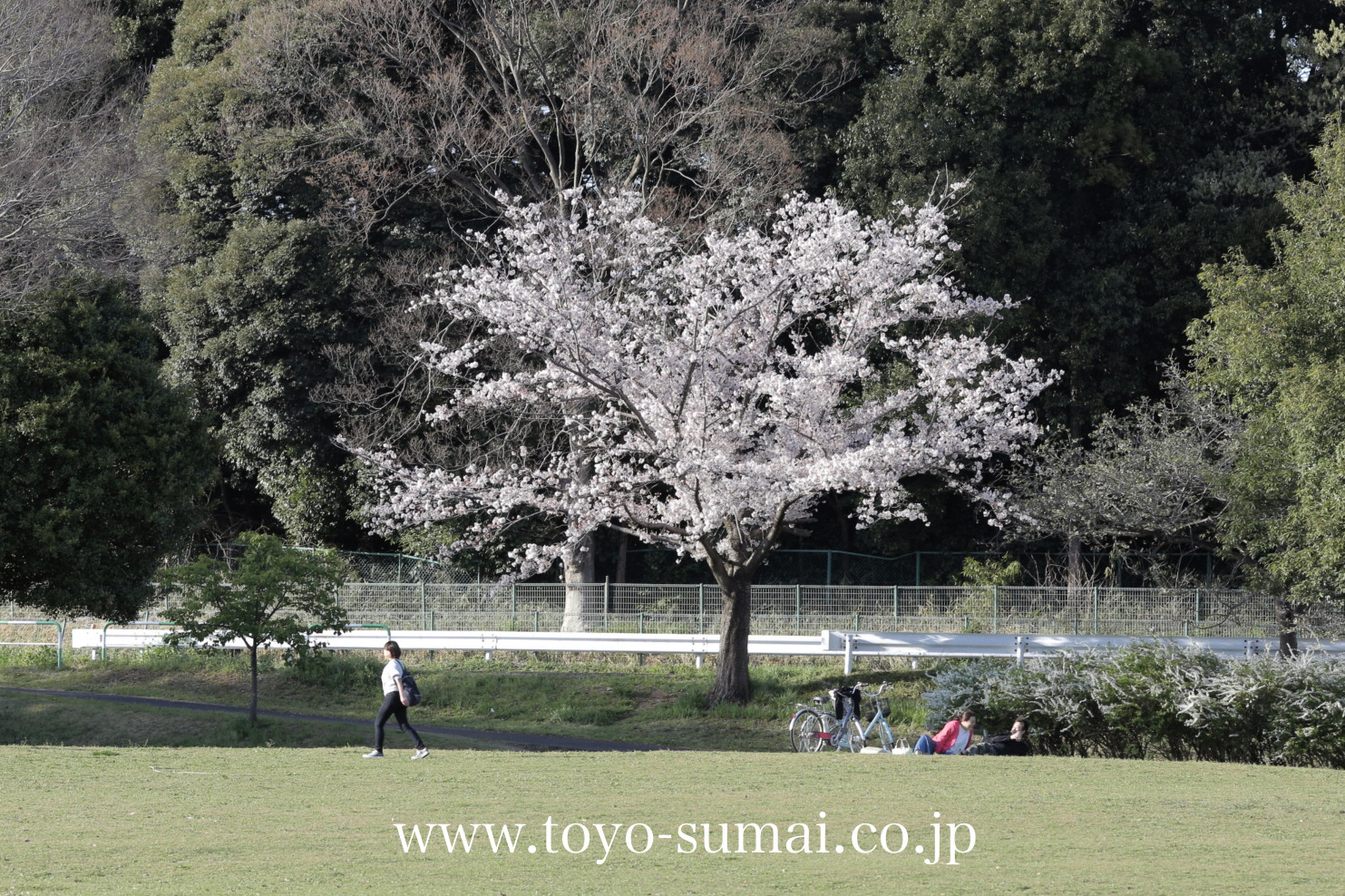 「新発見！さいたま の風景写真ブログ」                さいたまの風景