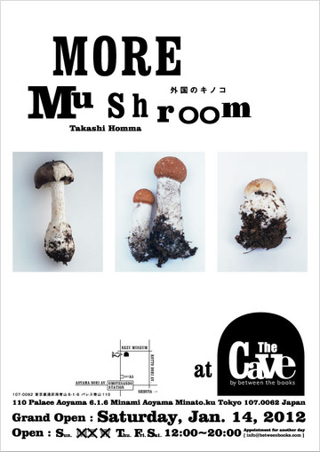 moremusshroom_DM