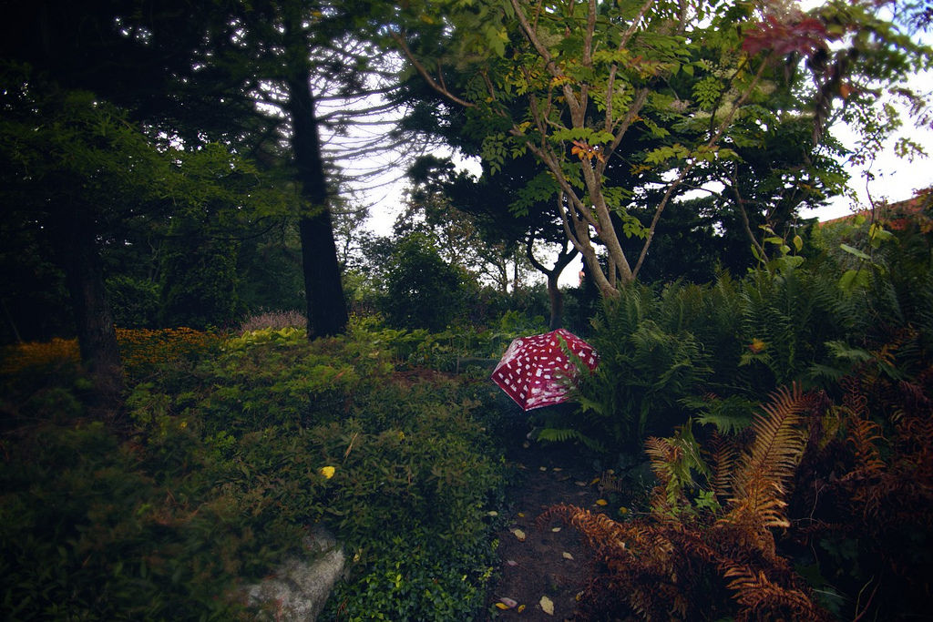 ベニテングタケの傘を差した写真作品 Mushroom Lost In Town とよだのにっき