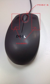 3a48b6d8.jpg