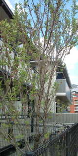 f37b5b16.jpg