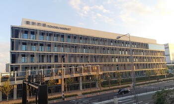 豊洲市場