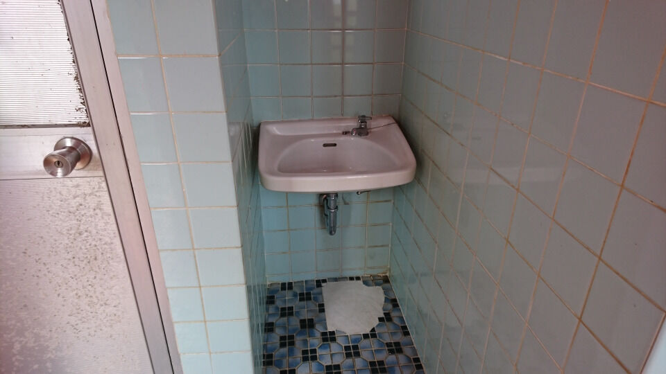 ジャニスの一昔前の便器は珍品 Toyoの旅行とトイレ調査日記 ジャニスの一昔前の便器は珍品 Toyoの旅行とトイレ調査日記