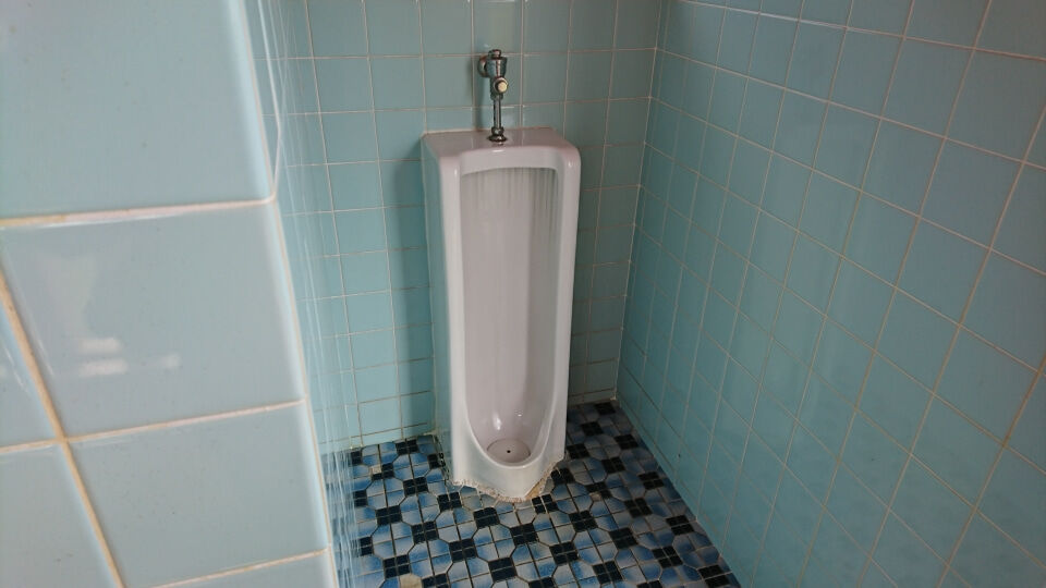 ジャニスの一昔前の便器は珍品 Toyoの旅行とトイレ調査日記 ジャニスの一昔前の便器は珍品 Toyoの旅行とトイレ調査日記