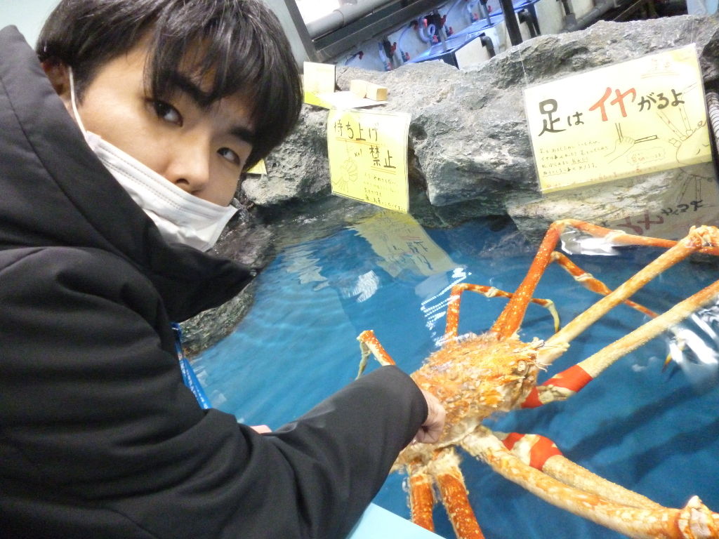 イメージ 5