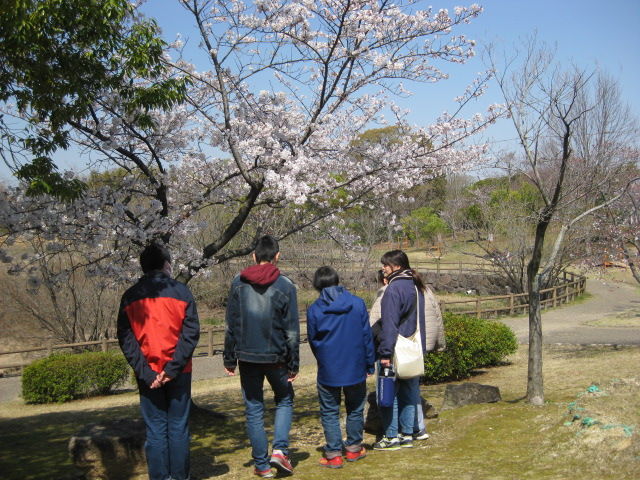 イメージ 6