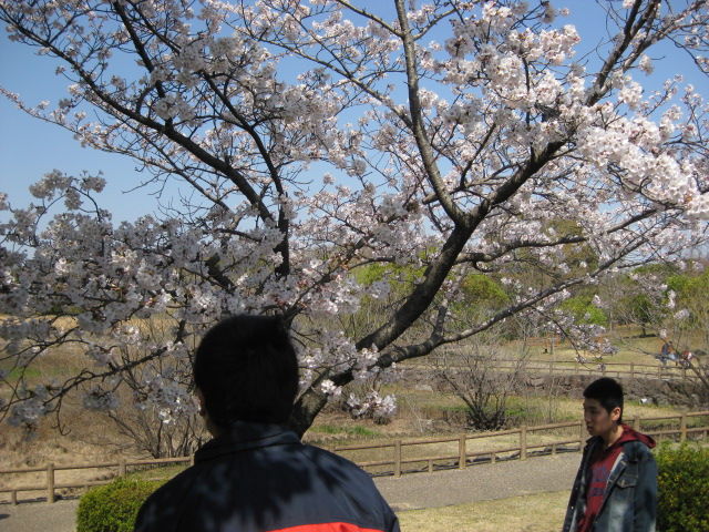 イメージ 5