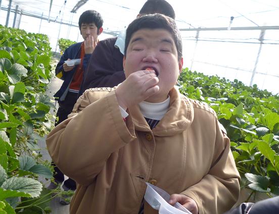 イメージ 7