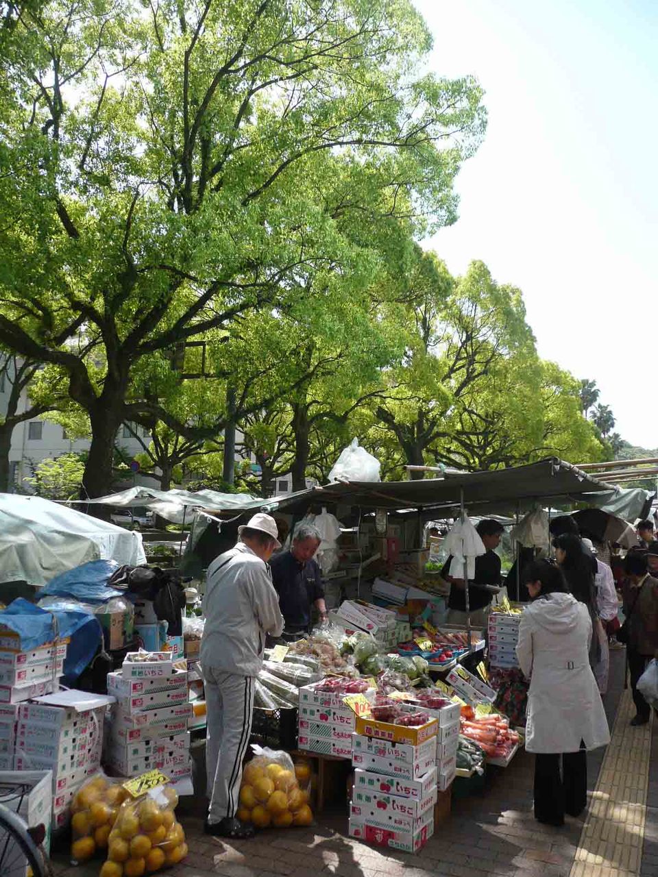 高知は木曜市も楽しい 四国アイランドライフ 高知は木曜市も楽しい 四国アイランドライフ