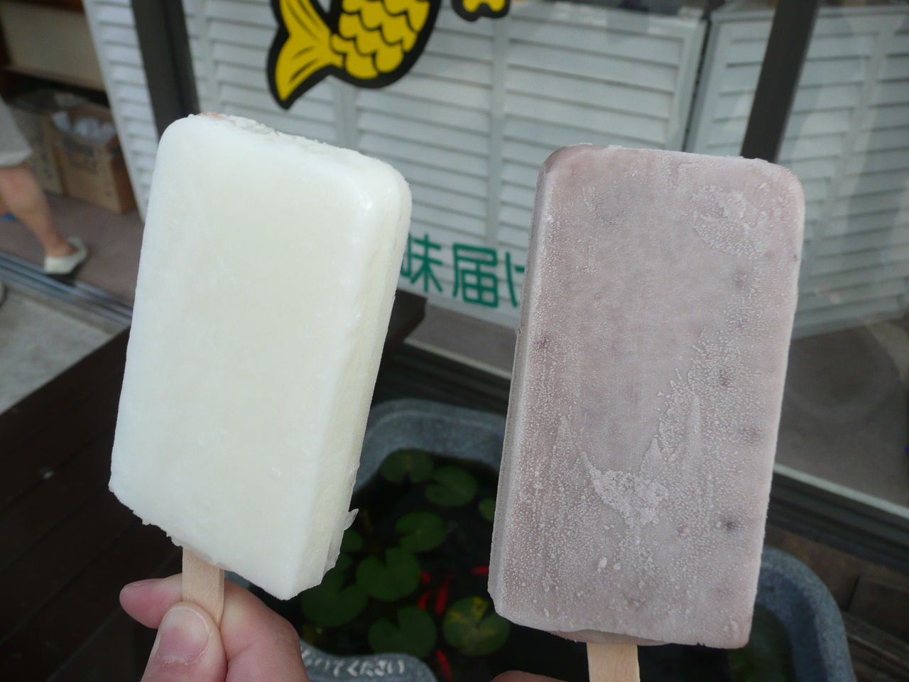 かどみせ 門屋商店 のアイスキャンディー 四国アイランドライフ かどみせ 門屋商店 のアイスキャンディー 四国アイランドライフ