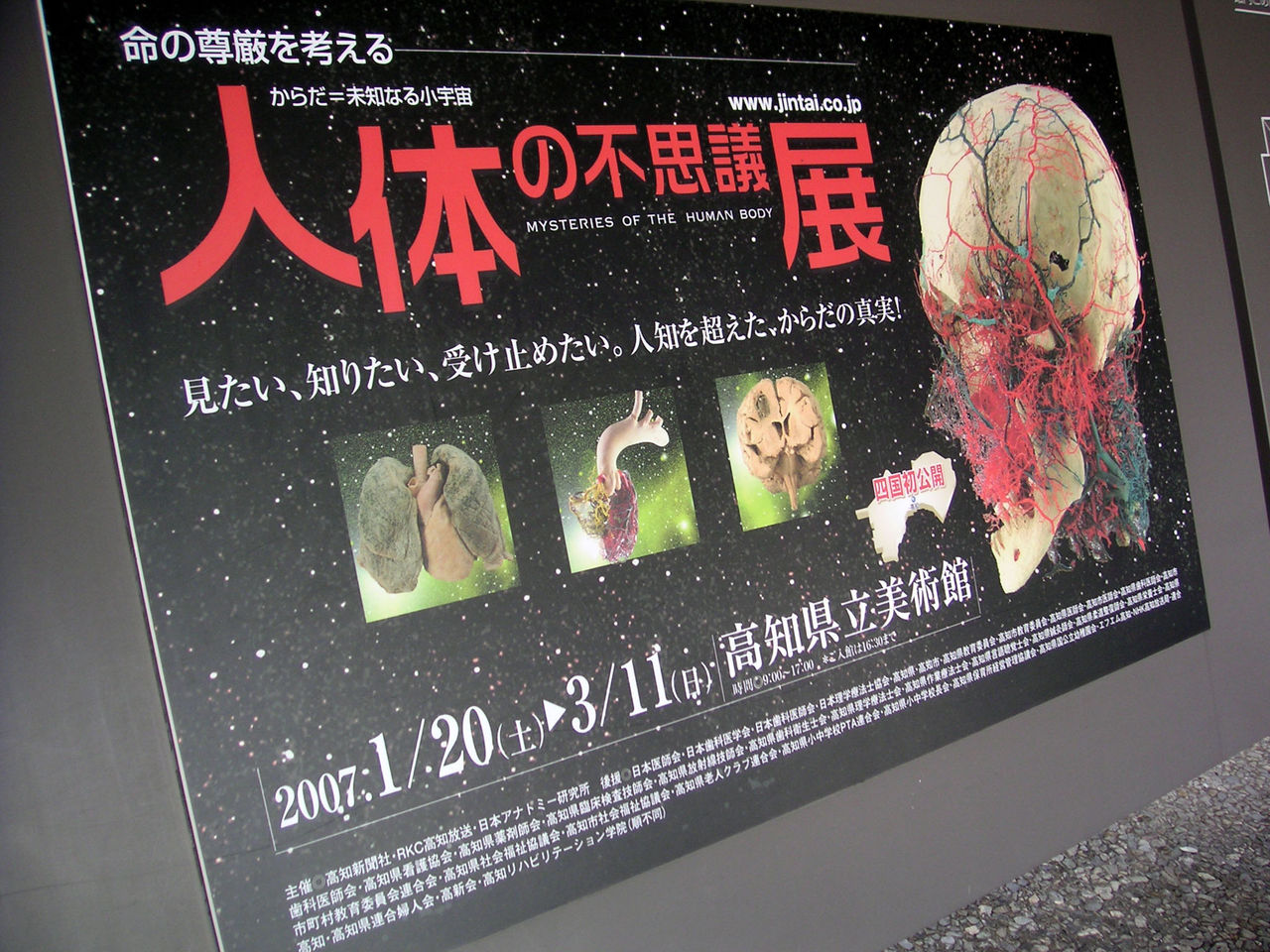 人体の不思議展(高知美術館)。 四国アイランドライフ。 人体の不思議展(高知美術館)。 四国アイランドライフ。