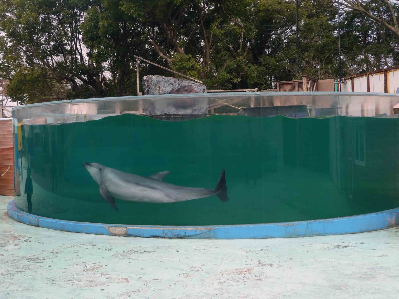 新屋島水族館 四国アイランドライフ