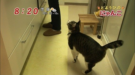 イメージ 23