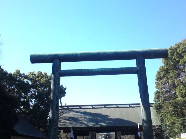 イメージ 7