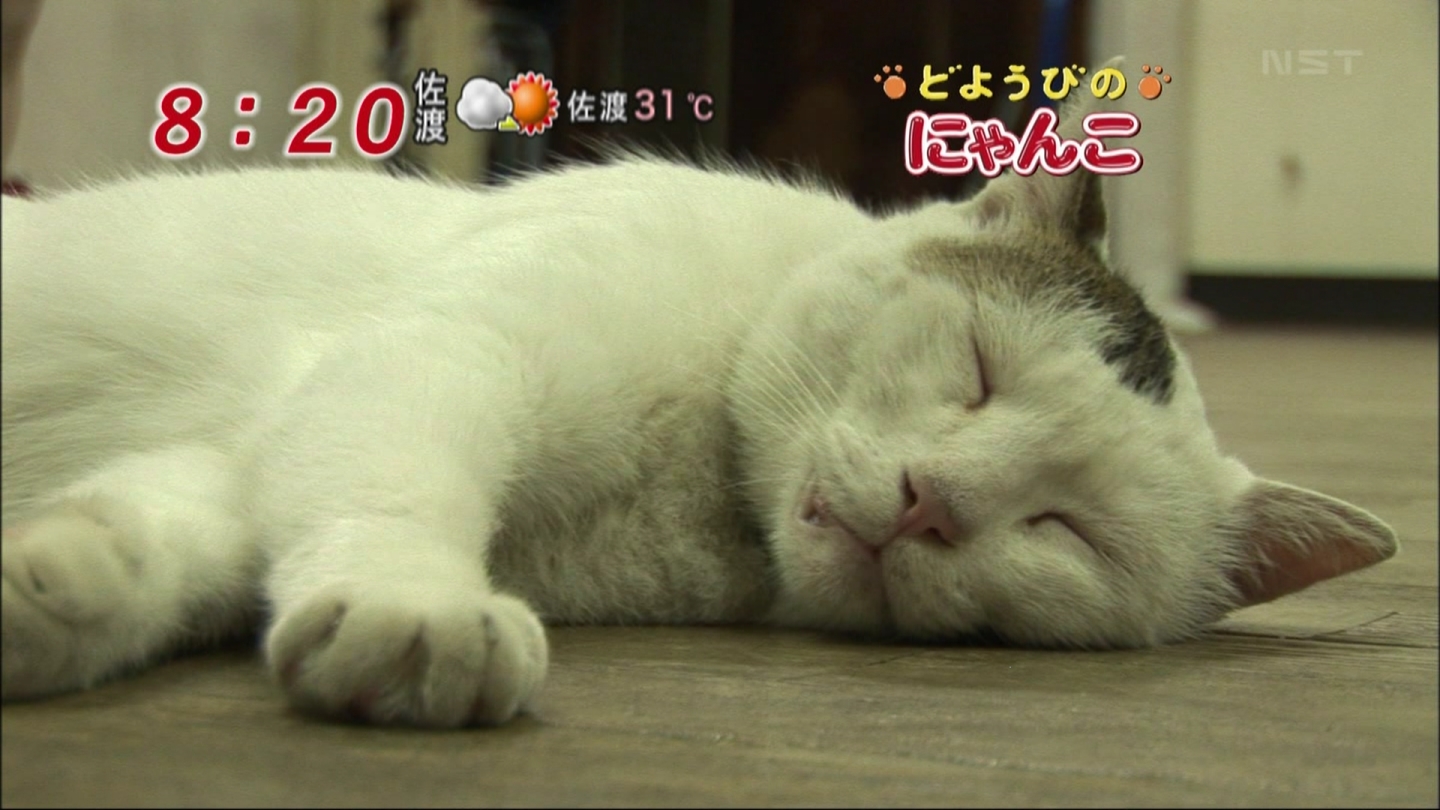 イメージ 7