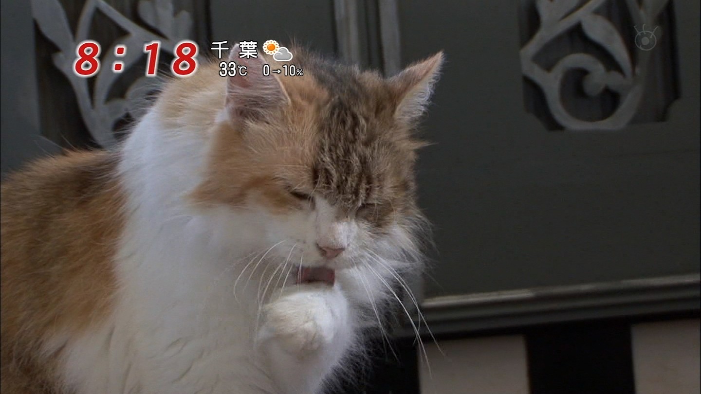 イメージ 5