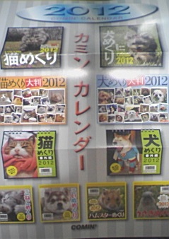 イメージ 2