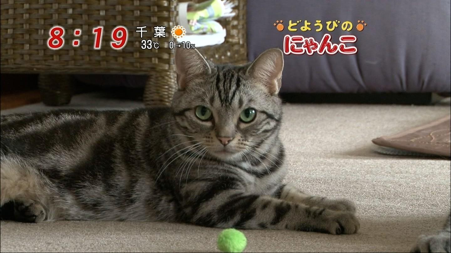 イメージ 10