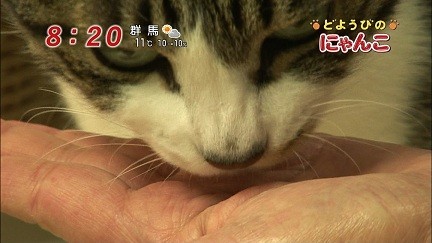 イメージ 9