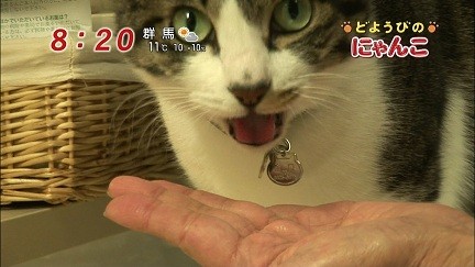イメージ 7